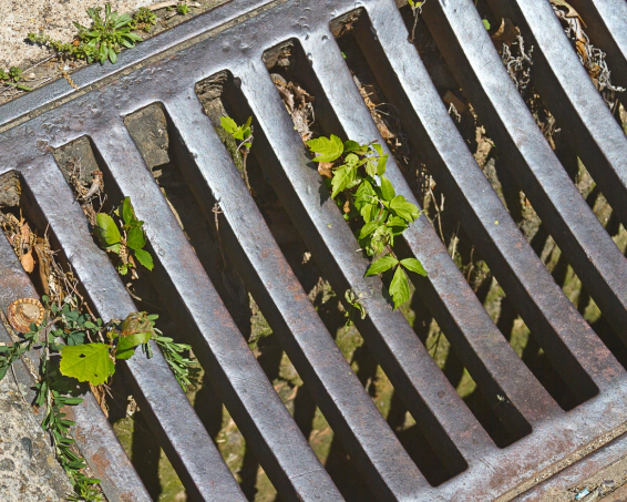 Commercial Storm Sewer Management